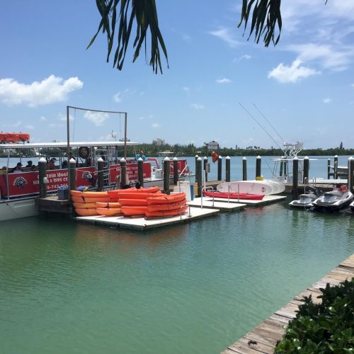 A tropical marina with colorful boats docked by turquoise water, palm fronds overhead, and a clear blue sky at a sunny seaside port.